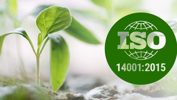 التأهيل لنظام إدارة البيئة 14001