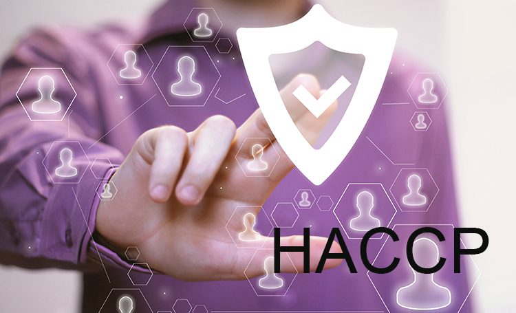 تحليل المخاطر ونقاط التحكم الحرجة HACCP